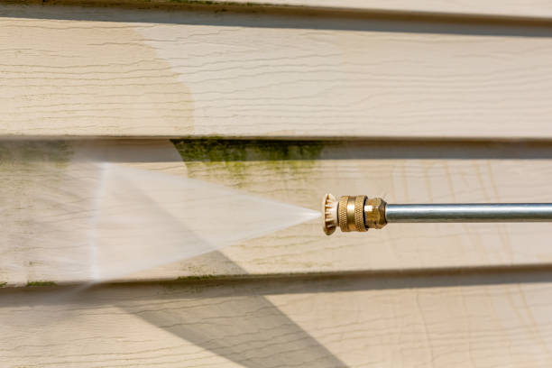 Professional Pressure Washing in Tuscumbia, AL