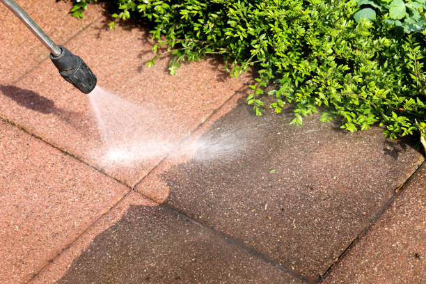 Best Exterior Home Cleaning  in Tuscumbia, AL